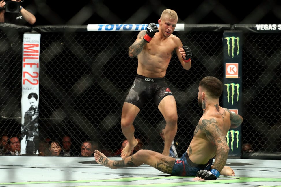 TJ Dillashaw drops Cody Garbrandt at UFC 227