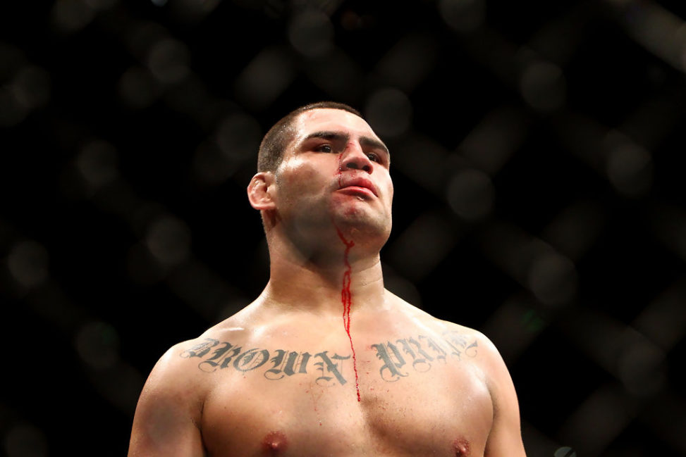 UFC fighter Cain Velasquez celebrates winning his fight against UFC fighter Minotauro Nogueira