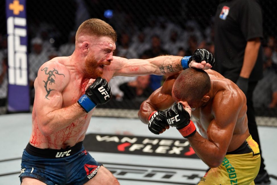 Paul Felder trades with Edson Barboza at UFC 242