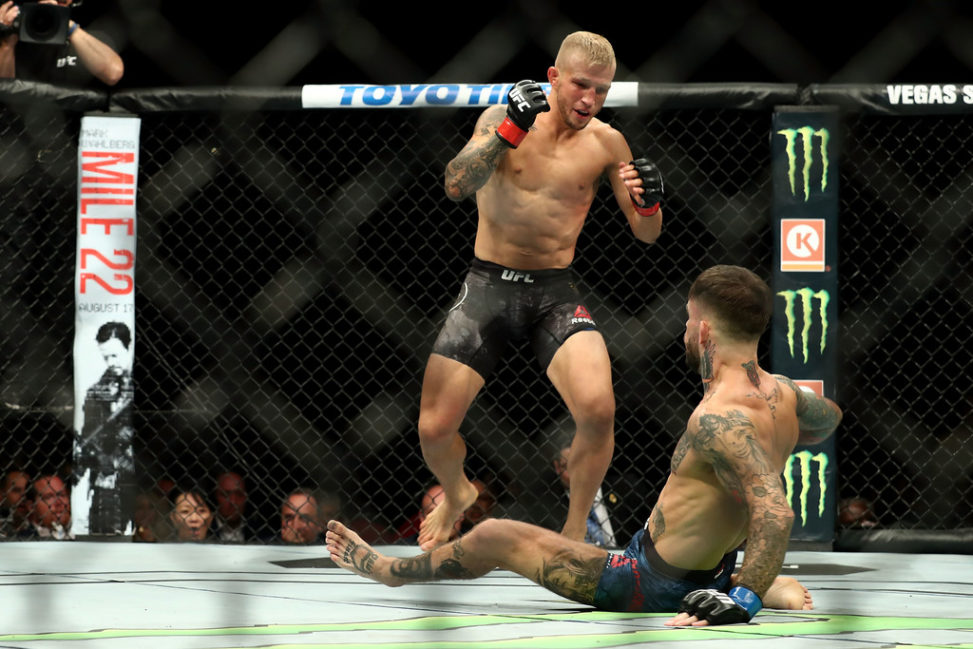 TJ Dillashaw knocks down Cody Garbrandt in the first round of the UFC Bantamweight Title Bout during UFC 227