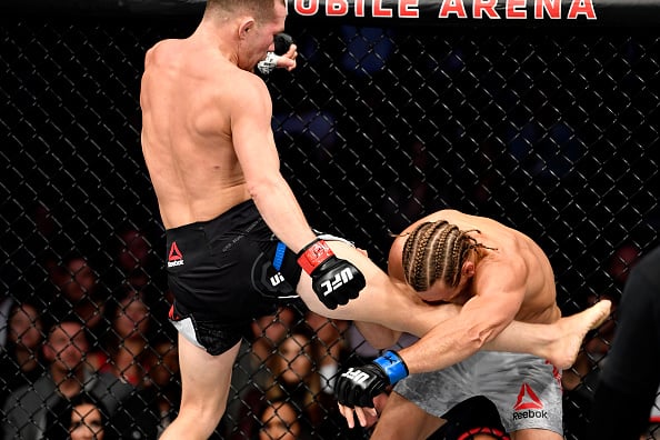 Petr Yan attacks Urijah Faber during their contest at UFC 245