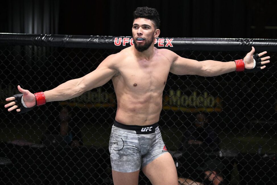 UFC Fight Night 193 Staff Predictions: Thiago Santos vs. Johnny Walker odds, analysis 1