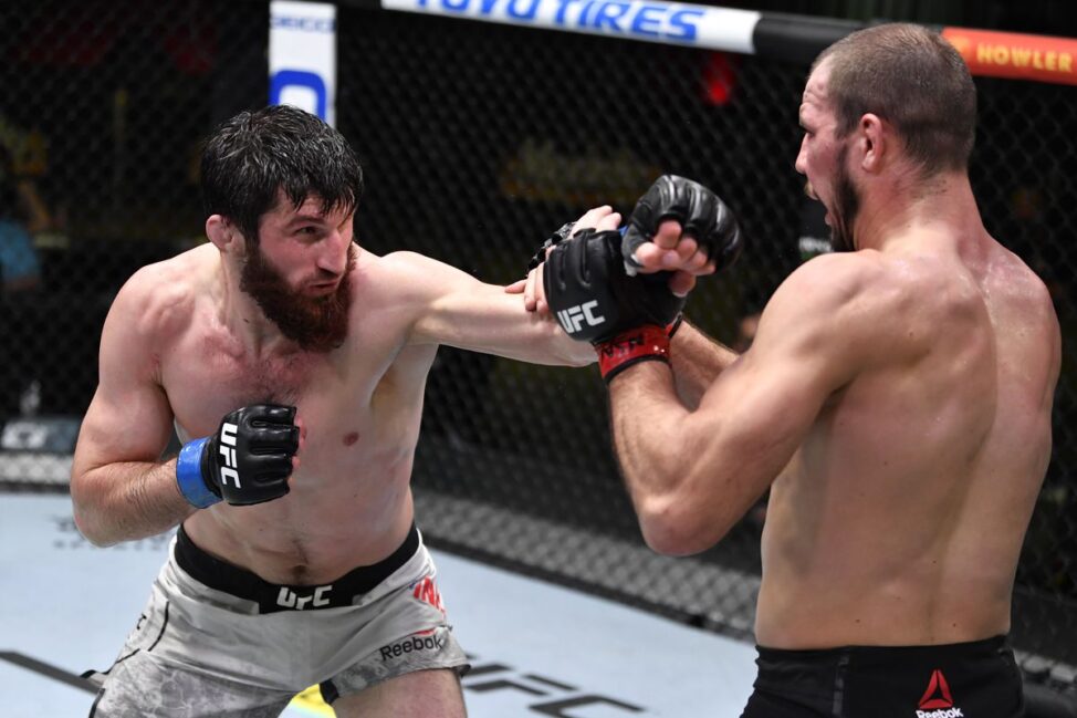 UFC 267 Predictions: Volkan Oezdemir vs. Magomed Ankalaev betting odds, fight breakdown 4