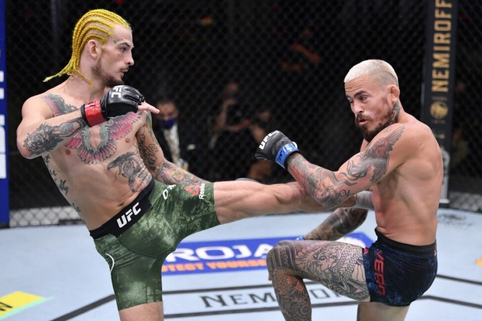 Sean O’Malley vs. Raulian Paiva Prediction: UFC 269 betting odds, analysis 1