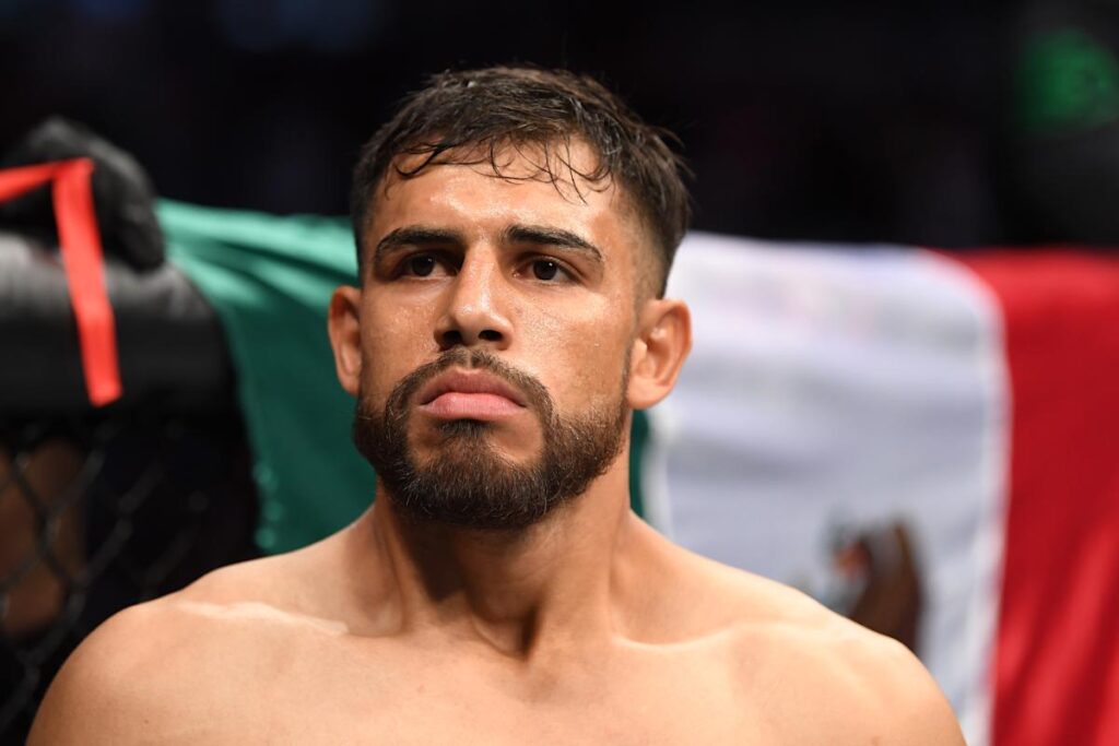 yair rodriguez zuffa llc
