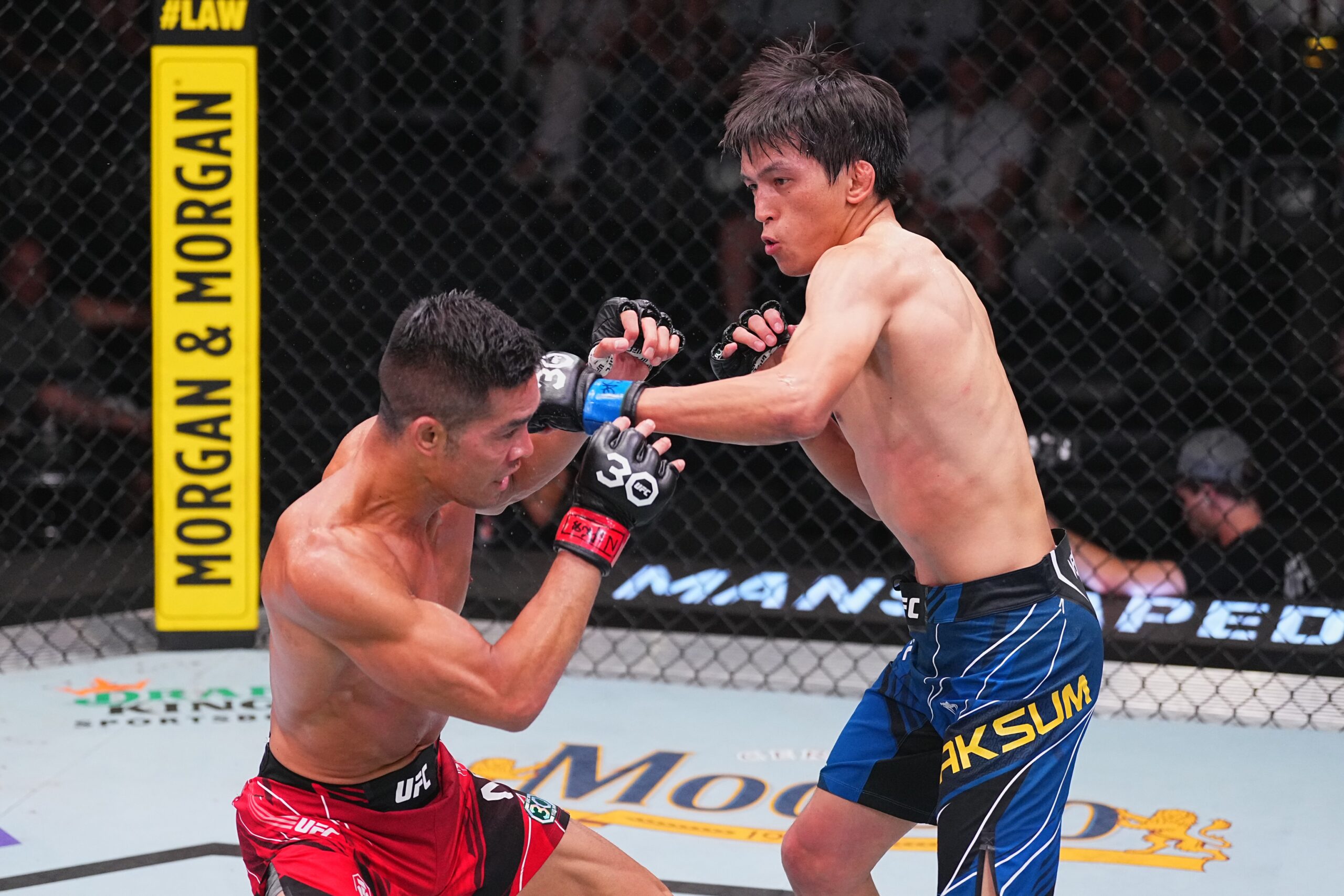 Azat Maksum vs Charles Johnson prediction | UFC Fight Night 235 1